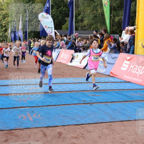 14.09.2025 - Airport Race Strokosch-Dieckow http://msf.ph/oto/8915953 14.09.2025 11:20:43 Ziel 7137, 7062, 7189, 7120, 150, 7187 meine-sportfotos.de