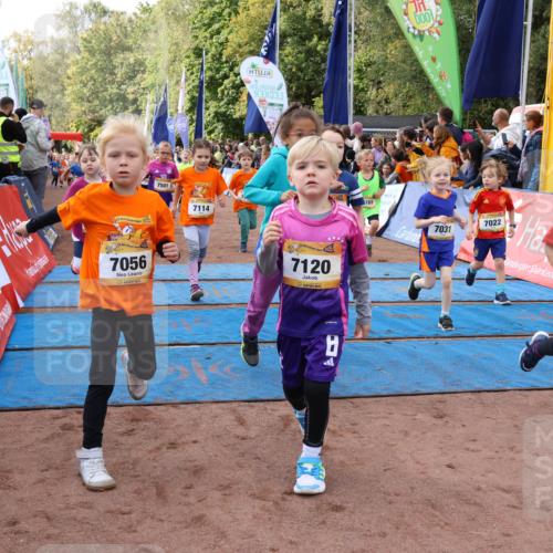 14.09.2025 - Airport Race Strokosch-Dieckow http://msf.ph/oto/8915970 14.09.2025 11:20:49 Ziel 7056, 10, 7501, 7114, 7120, 165, 7031, 7022, 7184 meine-sportfotos.de