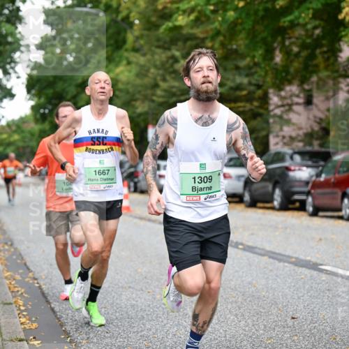 21.09.2025 - PSD Bank Halbmarathon Dr. Thomas Lammeyer http://msf.ph/oto/8916784 21.09.2025 10:30:58 Laufen 1667, 100, 1309, 9, 1989 meine-sportfotos.de