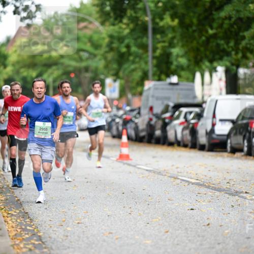 21.09.2025 - PSD Bank Halbmarathon Dr. Thomas Lammeyer http://msf.ph/oto/8917028 21.09.2025 10:32:08 Laufen 2955 meine-sportfotos.de