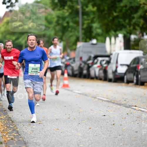 21.09.2025 - PSD Bank Halbmarathon Dr. Thomas Lammeyer http://msf.ph/oto/8917036 21.09.2025 10:32:10 Laufen 2955 meine-sportfotos.de