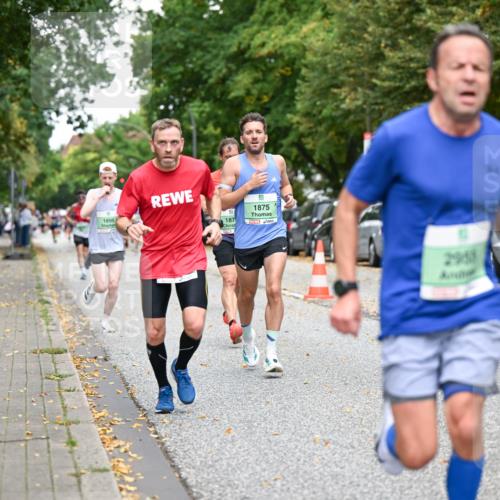 21.09.2025 - PSD Bank Halbmarathon Dr. Thomas Lammeyer http://msf.ph/oto/8917056 21.09.2025 10:32:14 Laufen 1895, 187, 9, 1875, 2958 meine-sportfotos.de