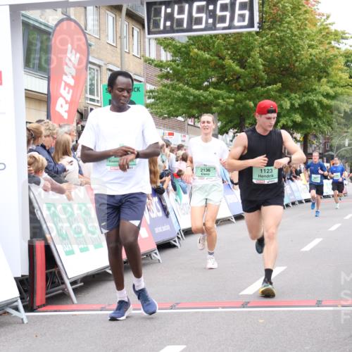 21.09.2025 - PSD Bank Halbmarathon Strokosch-Dieckow http://msf.ph/oto/8917774 21.09.2025 11:45:19 Ziel 1123, 1722, 1774, 1958, 2136, 2501, 3925 meine-sportfotos.de