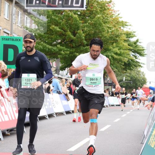 21.09.2025 - PSD Bank Halbmarathon Strokosch-Dieckow http://msf.ph/oto/8918096 21.09.2025 11:46:39 Ziel 1321, 1583, 2791, 2919, 3630 meine-sportfotos.de