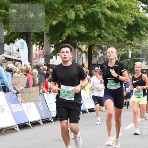 21.09.2025 - PSD Bank Halbmarathon Strokosch-Dieckow http://msf.ph/oto/8918622 21.09.2025 11:48:42 Ziel 1234, 1719, 2182, 2260, 2551, 2561, 2564, 3288 meine-sportfotos.de