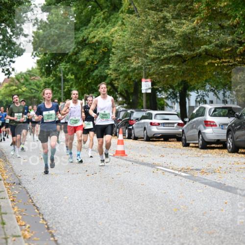 21.09.2025 - PSD Bank Halbmarathon Dr. Thomas Lammeyer http://msf.ph/oto/8918724 21.09.2025 10:36:20 Laufen 1517, 1947, 1, 2080, 1044 meine-sportfotos.de