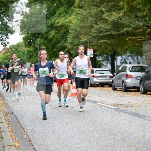 21.09.2025 - PSD Bank Halbmarathon Dr. Thomas Lammeyer http://msf.ph/oto/8918735 21.09.2025 10:36:21 Laufen 2138, 1517, 1947, 1044 meine-sportfotos.de