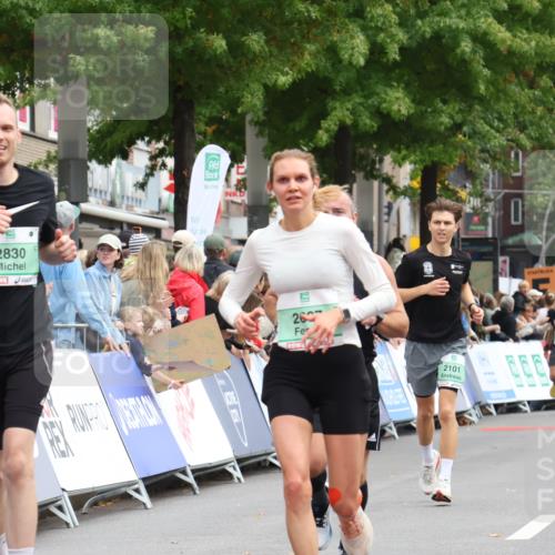 21.09.2025 - PSD Bank Halbmarathon Strokosch-Dieckow http://msf.ph/oto/8918877 21.09.2025 11:49:32 Ziel 1356, 2010, 2322, 2463, 2607, 2737, 2830, 3376, 4010 meine-sportfotos.de