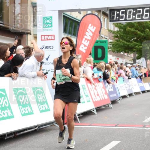 21.09.2025 - PSD Bank Halbmarathon Strokosch-Dieckow http://msf.ph/oto/8918950 21.09.2025 11:49:49 Ziel 1233, 1657, 2362, 2376, 2462, 2527, 2589, 3055 meine-sportfotos.de