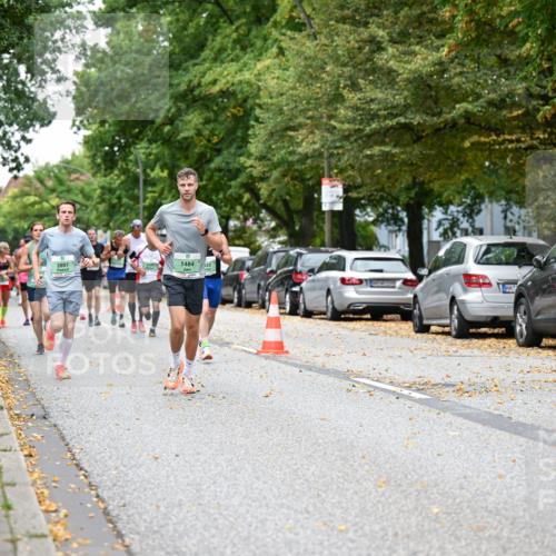 21.09.2025 - PSD Bank Halbmarathon Dr. Thomas Lammeyer http://msf.ph/oto/8919023 21.09.2025 10:36:51 Laufen 2897, 5, 1484, 33 meine-sportfotos.de