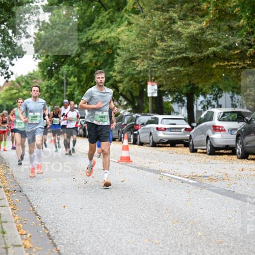 21.09.2025 - PSD Bank Halbmarathon Dr. Thomas Lammeyer http://msf.ph/oto/8919029 21.09.2025 10:36:52 Laufen 2015, 2897, 9, 1484 meine-sportfotos.de