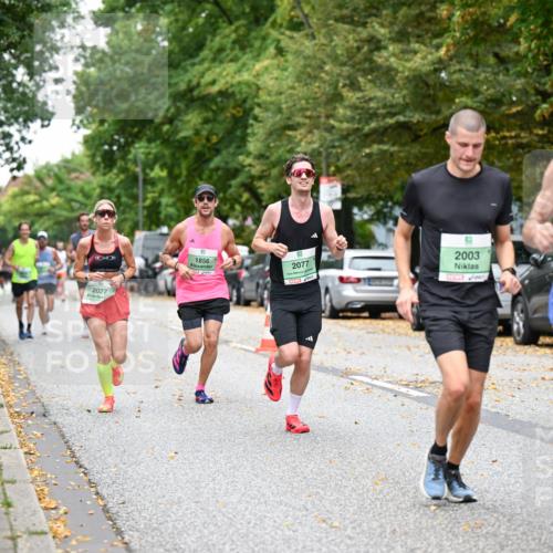 21.09.2025 - PSD Bank Halbmarathon Dr. Thomas Lammeyer http://msf.ph/oto/8919109 21.09.2025 10:37:00 Laufen 1856, 2077, 2003, 142 meine-sportfotos.de