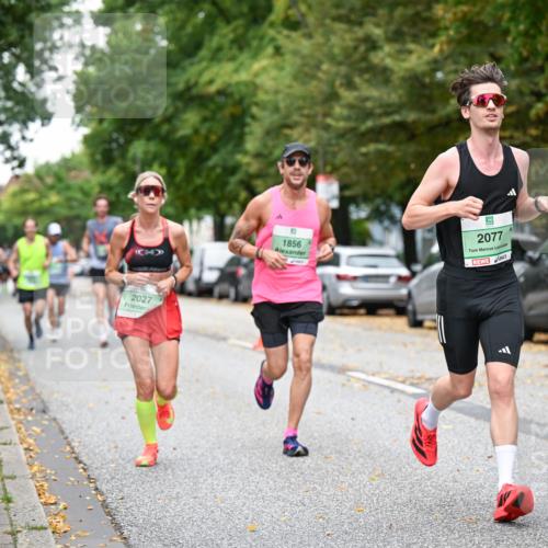 21.09.2025 - PSD Bank Halbmarathon Dr. Thomas Lammeyer http://msf.ph/oto/8919124 21.09.2025 10:37:01 Laufen 2027, 1856, 2077 meine-sportfotos.de