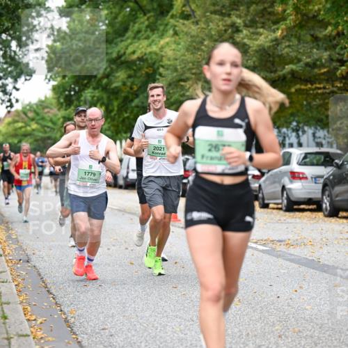 21.09.2025 - PSD Bank Halbmarathon Dr. Thomas Lammeyer http://msf.ph/oto/8919317 21.09.2025 10:37:22 Laufen 9, 1779, 23, 5, 2021, 267 meine-sportfotos.de
