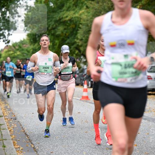 21.09.2025 - PSD Bank Halbmarathon Dr. Thomas Lammeyer http://msf.ph/oto/8919554 21.09.2025 10:37:50 Laufen 5, 3909, 4048, 1984 meine-sportfotos.de