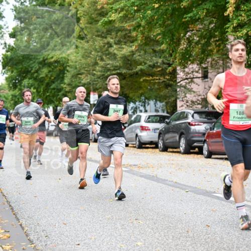 21.09.2025 - PSD Bank Halbmarathon Dr. Thomas Lammeyer http://msf.ph/oto/8919913 21.09.2025 10:38:32 Laufen 2224, 9, 2447, 1884, 2256, 3895, 4915 meine-sportfotos.de