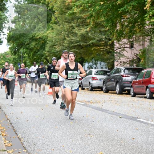 21.09.2025 - PSD Bank Halbmarathon Dr. Thomas Lammeyer http://msf.ph/oto/8919982 21.09.2025 10:38:38 Laufen 2199, 9, 3923, 4915 meine-sportfotos.de