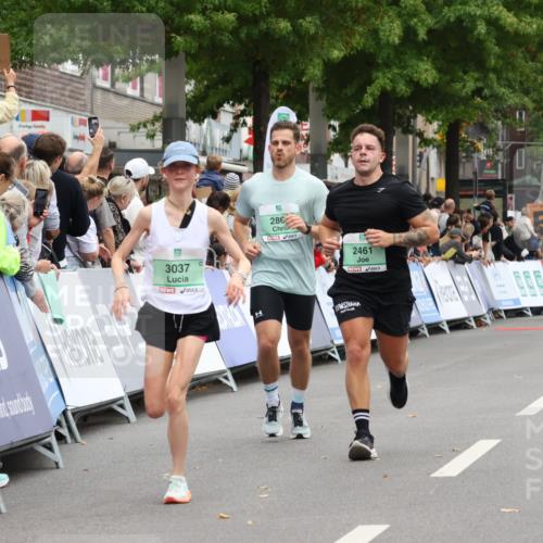 21.09.2025 - PSD Bank Halbmarathon Strokosch-Dieckow http://msf.ph/oto/8920045 21.09.2025 11:54:00 Ziel 1396, 1752, 2304, 2461, 2805, 2991, 3037 meine-sportfotos.de