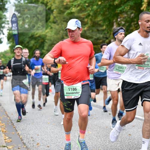 21.09.2025 - PSD Bank Halbmarathon Dr. Thomas Lammeyer http://msf.ph/oto/8920228 21.09.2025 10:38:50 Laufen 1186, 2252, 36, 01, 45 meine-sportfotos.de