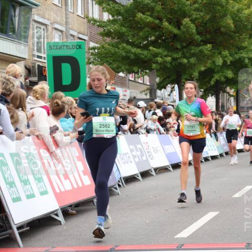 21.09.2025 - PSD Bank Halbmarathon Strokosch-Dieckow http://msf.ph/oto/8920309 21.09.2025 11:54:33 Ziel 1633, 1731, 2300, 2318, 2320, 2408, 2562, 2997, 3892, 3944 meine-sportfotos.de