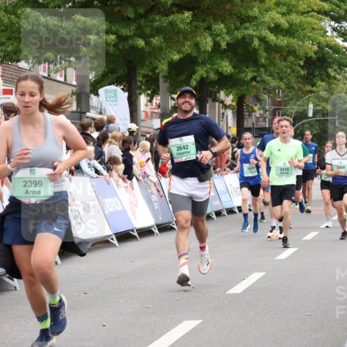 21.09.2025 - PSD Bank Halbmarathon Strokosch-Dieckow http://msf.ph/oto/8920698 21.09.2025 11:55:53 Ziel 1134, 1818, 1819, 2210, 2273, 2399, 2587, 2642, 3959 meine-sportfotos.de