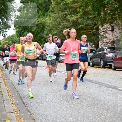 21.09.2025 - PSD Bank Halbmarathon Dr. Thomas Lammeyer http://msf.ph/oto/8920797 21.09.2025 10:39:56 Laufen 241, 4, 2091, 95, 2443, 1003 meine-sportfotos.de
