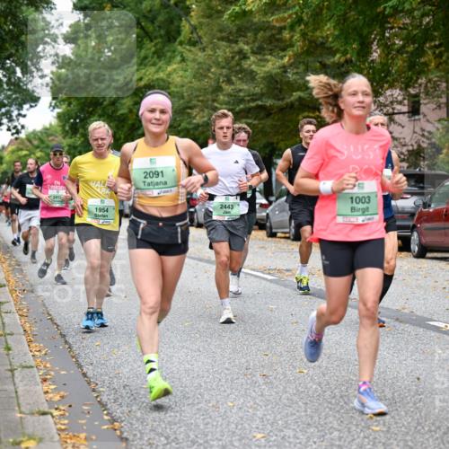21.09.2025 - PSD Bank Halbmarathon Dr. Thomas Lammeyer http://msf.ph/oto/8920803 21.09.2025 10:39:57 Laufen 241, 1954, 2091, 2443, 1003, 4915 meine-sportfotos.de