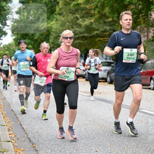 21.09.2025 - PSD Bank Halbmarathon Dr. Thomas Lammeyer http://msf.ph/oto/8922874 21.09.2025 10:42:19 Laufen 2527, 277, 2327, 2387 meine-sportfotos.de