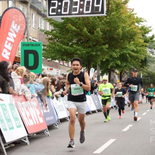21.09.2025 - PSD Bank Halbmarathon Strokosch-Dieckow http://msf.ph/oto/8923342 21.09.2025 12:02:28 Ziel 1026, 1121, 3085, 3105 meine-sportfotos.de
