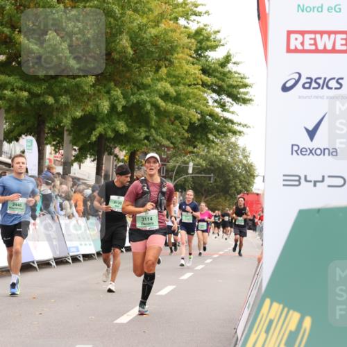 21.09.2025 - PSD Bank Halbmarathon Strokosch-Dieckow http://msf.ph/oto/8923521 21.09.2025 12:02:51 Ziel 2448, 3087, 3114, 3130 meine-sportfotos.de