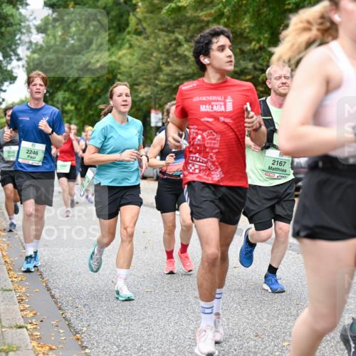 21.09.2025 - PSD Bank Halbmarathon Dr. Thomas Lammeyer http://msf.ph/oto/8924270 21.09.2025 10:43:34 Laufen 2704, 2246, 2167, 98, 20 meine-sportfotos.de