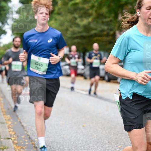 21.09.2025 - PSD Bank Halbmarathon Dr. Thomas Lammeyer http://msf.ph/oto/8924302 21.09.2025 10:43:36 Laufen 2246 meine-sportfotos.de