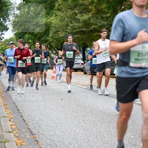 21.09.2025 - PSD Bank Halbmarathon Dr. Thomas Lammeyer http://msf.ph/oto/8925070 21.09.2025 10:44:16 Laufen 2576, 2255, 2242, 1703, 4041, 2591, 2258, 384, 3939, 2526, 4915 meine-sportfotos.de