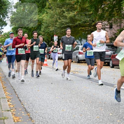 21.09.2025 - PSD Bank Halbmarathon Dr. Thomas Lammeyer http://msf.ph/oto/8925084 21.09.2025 10:44:17 Laufen 2255, 2591, 395, 2258, 1703, 3840, 61 meine-sportfotos.de