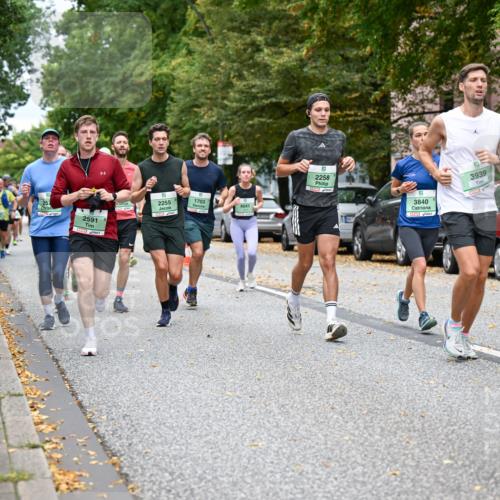 21.09.2025 - PSD Bank Halbmarathon Dr. Thomas Lammeyer http://msf.ph/oto/8925100 21.09.2025 10:44:18 Laufen 2591, 2255, 1703, 4041, 2258, 3840, 3939, 4915 meine-sportfotos.de