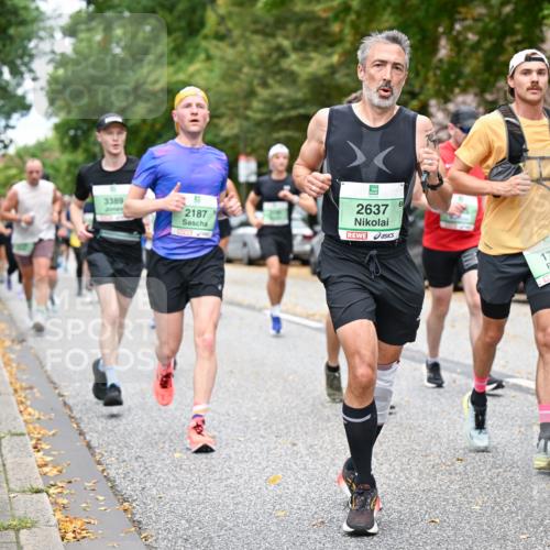 21.09.2025 - PSD Bank Halbmarathon Dr. Thomas Lammeyer http://msf.ph/oto/8925624 21.09.2025 10:44:46 Laufen 3389, 2187, 2637, 2658, 1772 meine-sportfotos.de