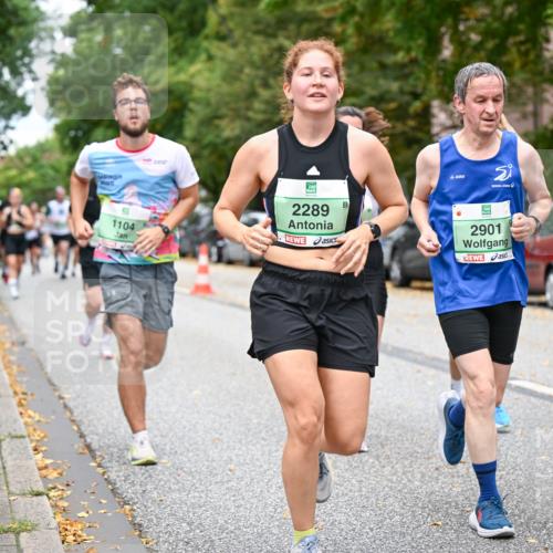 21.09.2025 - PSD Bank Halbmarathon Dr. Thomas Lammeyer http://msf.ph/oto/8925791 21.09.2025 10:44:56 Laufen 020, 2289, 1104, 2901 meine-sportfotos.de
