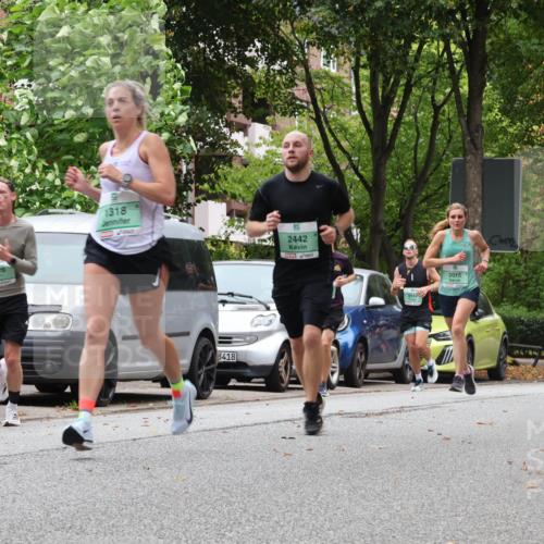 21.09.2025 - PSD Bank Halbmarathon Luisa Fischer http://msf.ph/oto/8926599 21.09.2025 11:30:00 Laufen 1779, 4026, 1318, 2442, 3418, 254, 2015 meine-sportfotos.de