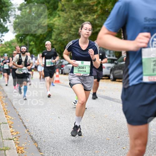 21.09.2025 - PSD Bank Halbmarathon Dr. Thomas Lammeyer http://msf.ph/oto/8926968 21.09.2025 10:46:22 Laufen 182, 3081, 2671, 990 meine-sportfotos.de