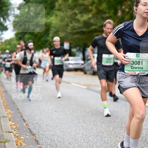21.09.2025 - PSD Bank Halbmarathon Dr. Thomas Lammeyer http://msf.ph/oto/8926986 21.09.2025 10:46:23 Laufen 3081, 2954 meine-sportfotos.de