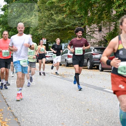 21.09.2025 - PSD Bank Halbmarathon Dr. Thomas Lammeyer http://msf.ph/oto/8927790 21.09.2025 10:47:18 Laufen 3036, 2520, 3955, 2507, 3039, 3182, 1080 meine-sportfotos.de