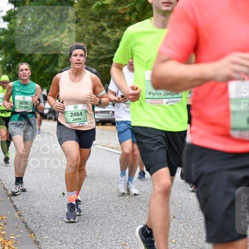 21.09.2025 - PSD Bank Halbmarathon Dr. Thomas Lammeyer http://msf.ph/oto/8927843 21.09.2025 10:47:22 Laufen 3036, 2464, 2, 3, 2520 meine-sportfotos.de