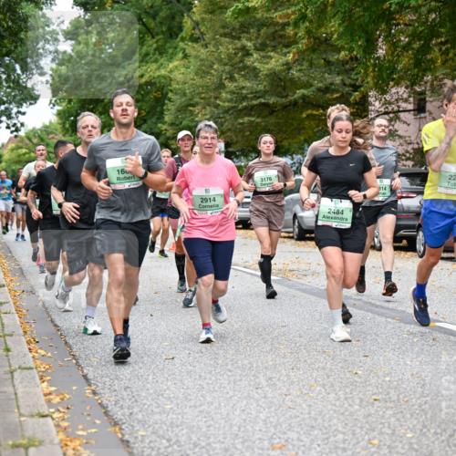 21.09.2025 - PSD Bank Halbmarathon Dr. Thomas Lammeyer http://msf.ph/oto/8928004 21.09.2025 10:47:32 Laufen 16, 2914, 3176, 2484, 2223, 814, 4915 meine-sportfotos.de