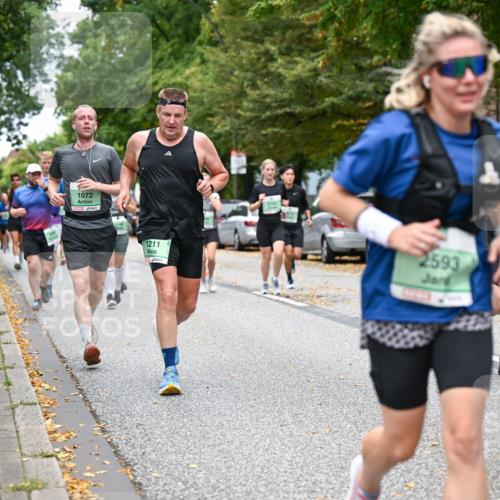 21.09.2025 - PSD Bank Halbmarathon Dr. Thomas Lammeyer http://msf.ph/oto/8928202 21.09.2025 10:47:48 Laufen 1072, 1211, 2593, 5, 2986, 4915 meine-sportfotos.de