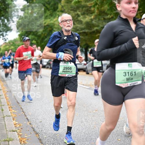 21.09.2025 - PSD Bank Halbmarathon Dr. Thomas Lammeyer http://msf.ph/oto/8928582 21.09.2025 10:48:11 Laufen 2956, 3161, 1760 meine-sportfotos.de