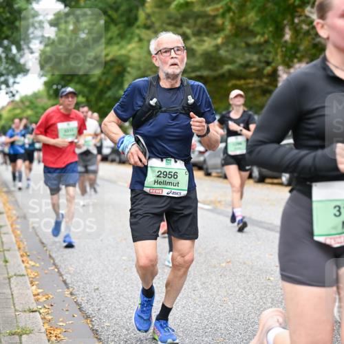 21.09.2025 - PSD Bank Halbmarathon Dr. Thomas Lammeyer http://msf.ph/oto/8928584 21.09.2025 10:48:11 Laufen 3311, 2956, 3161 meine-sportfotos.de