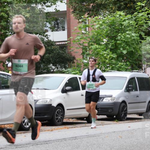 21.09.2025 - PSD Bank Halbmarathon Luisa Fischer http://msf.ph/oto/8929356 21.09.2025 11:47:37 Laufen 4044, 2093, 2699, 3418 meine-sportfotos.de