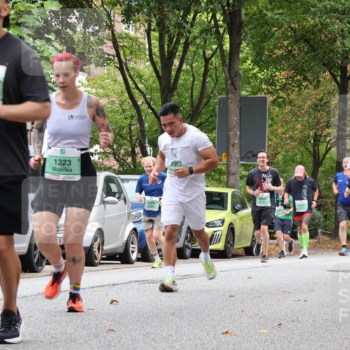 21.09.2025 - PSD Bank Halbmarathon Luisa Fischer http://msf.ph/oto/8929869 21.09.2025 11:49:21 Laufen 2013, 1323, 18, 2565, 8053, 2944, 2943, 3083, 3011 meine-sportfotos.de