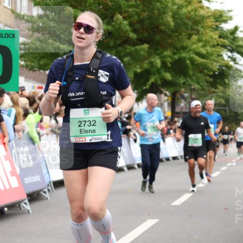 21.09.2025 - PSD Bank Halbmarathon Strokosch-Dieckow http://msf.ph/oto/8930211 21.09.2025 12:12:31 Ziel 1390, 2732, 2768, 3215, 3394, 3803 meine-sportfotos.de