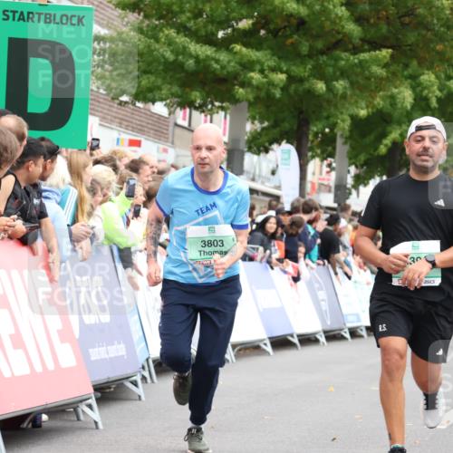 21.09.2025 - PSD Bank Halbmarathon Strokosch-Dieckow http://msf.ph/oto/8930233 21.09.2025 12:12:33 Ziel 1390, 1617, 2732, 2768, 3215, 3394, 3803 meine-sportfotos.de